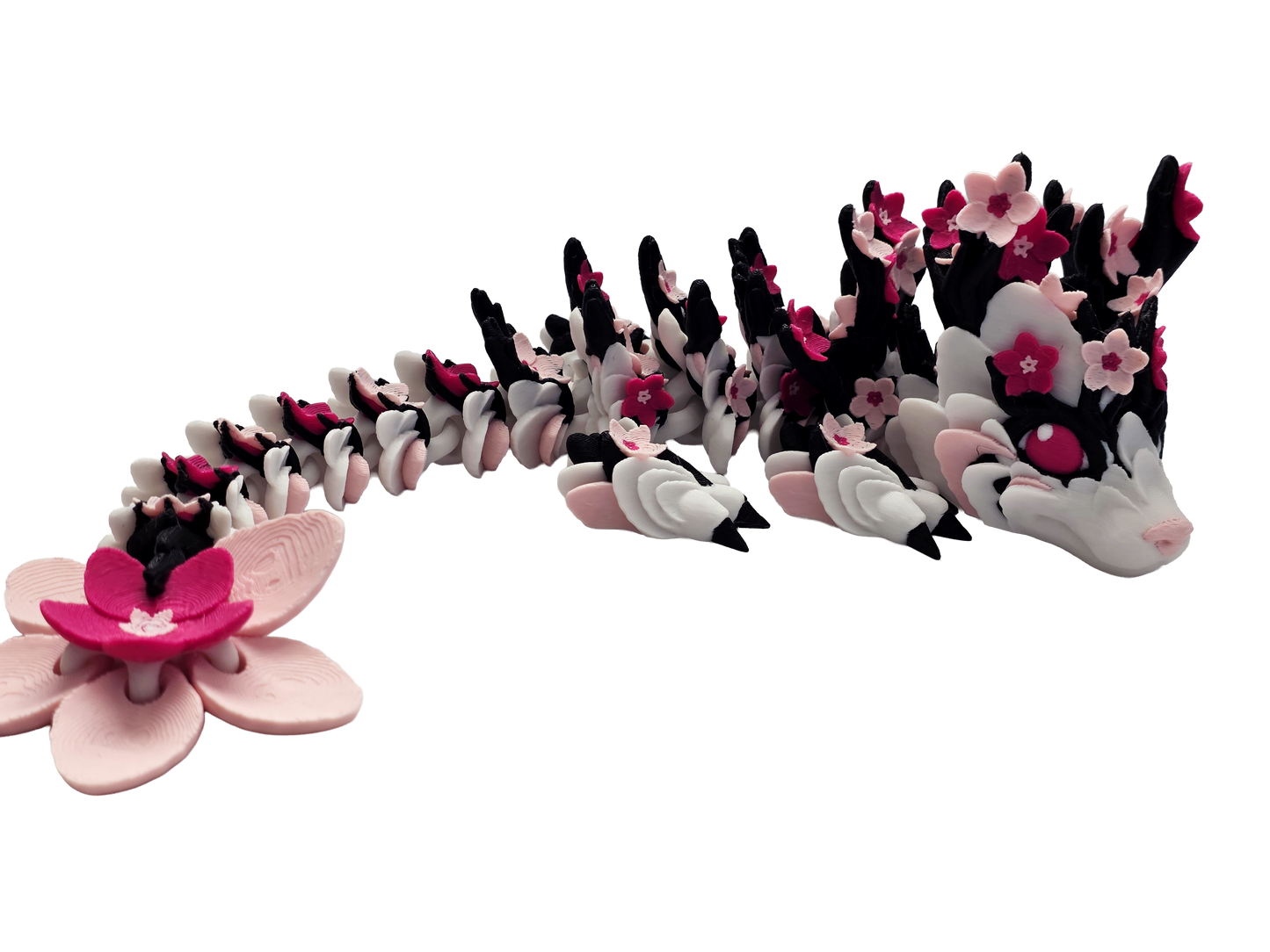 🌸Sakura – Petralis Dragon