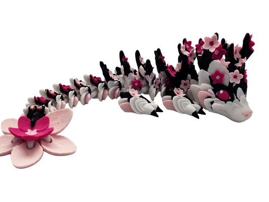 🌸Sakura – Petralis Dragon