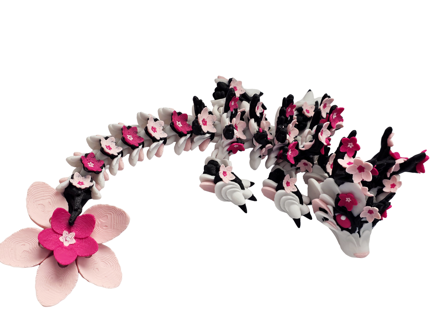 🌸Sakura – Petralis Dragon